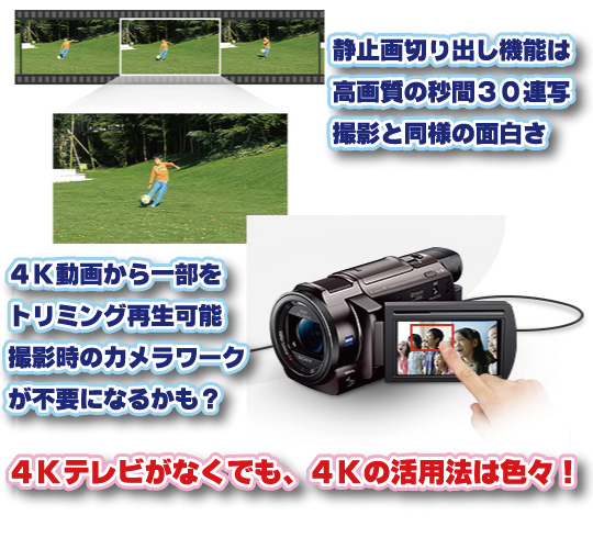2月に発売！SONY 4Kカメラ新モデル「FDR-AXP35」「FDR-AX30」 - ツクモキャプチャ王国 - 店長ブログ