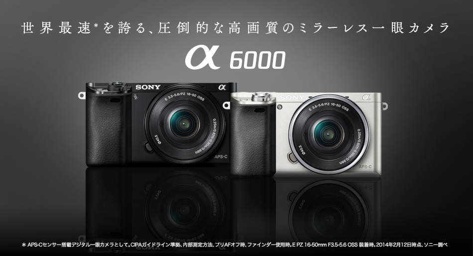 SONYミラーレス一眼デジタルカメラα6000ズームレンズキットバッテリー2