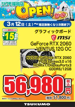 GeForce RTX 2060 VENTUS 12G OC.jpg