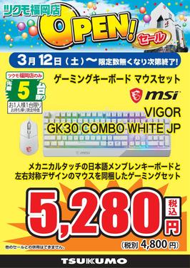 VIGORGK30 COMBO WHITE JP.jpg