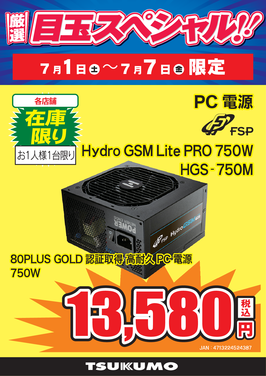 Hydro GSM Lite PRO 750W.png