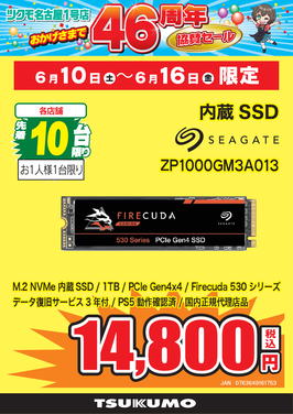 ZP1000GM3A013.png