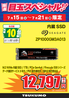 ZP1000GM3A013.png