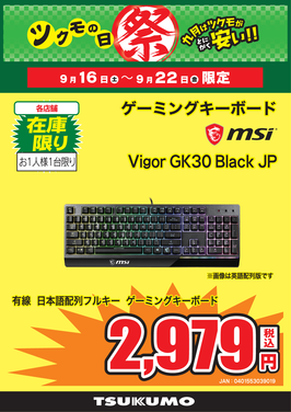 Vigor GK30 Black JP.png