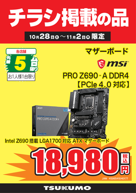 PRO Z690-A DDR4.png