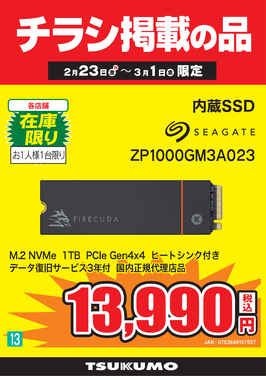 13.ZP1000GM3A023.png
