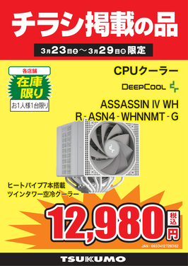 ASSASSIN Ⅳ WH.png