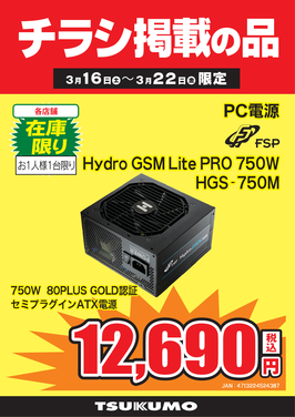 Hydro GSM Lite PRO 750W.png