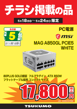 MAG A850GL PCIE5.png
