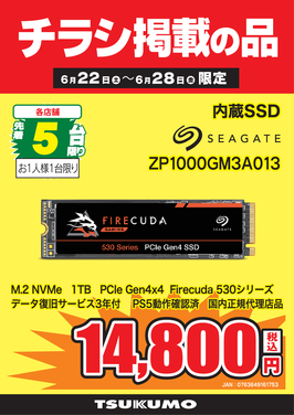 ZP1000GM3A013.png