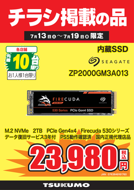 ZP2000GM3A013.png