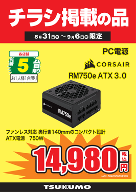 RM750e ATX 3.0.png