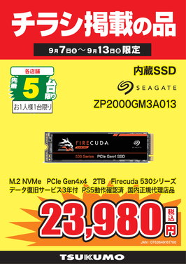 ZP2000GM3A013.png