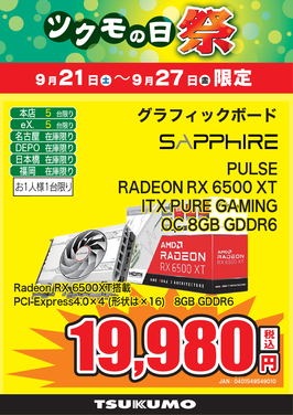 PULSE RADEON RX 6500 XT.png