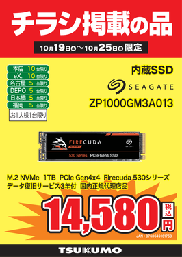 ZP1000GM3A013.png