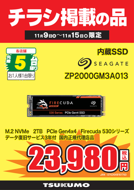 ZP2000GM3A013.png