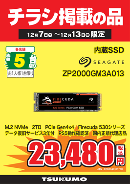 ZP2000GM3A013.png