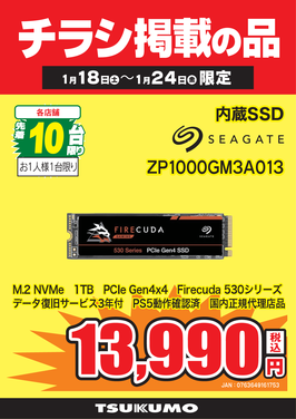 ZP1000GM3A013.png