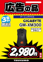 GM-XM300.jpg
