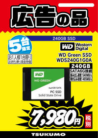 WD-Green-SSD-WDS240G1G0A.jpg
