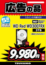 WD-Red-WD30EFRX.jpg