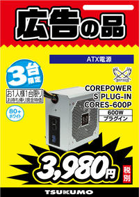 COREPOWER S PLUG-IN CORES-600P.jpg