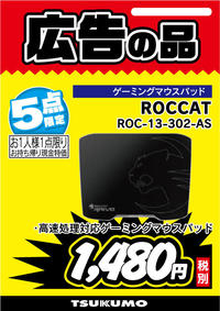 ROC-13-302-AS.jpg