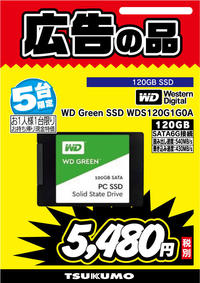 WD Green SSD WDS120G1G0A.jpg