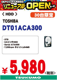 DT01ACA300.jpg