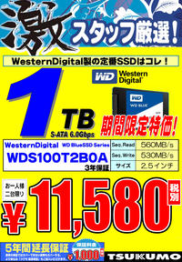 SSD-WD-1TB.jpg