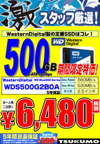 SSD-WD-500GB.jpg