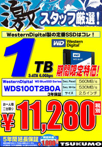 SSD-WD-1TB.jpg