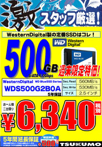 SSD-WD-500GB.jpg