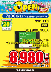 28_WD_SSD.jpg