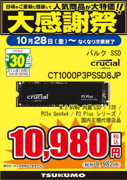 CT1000P3PSSD8JP.jpg