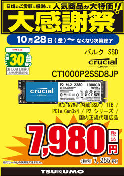 CT1000P2SSD8JP.jpg